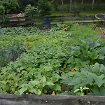 Lantgård Teosiowo *