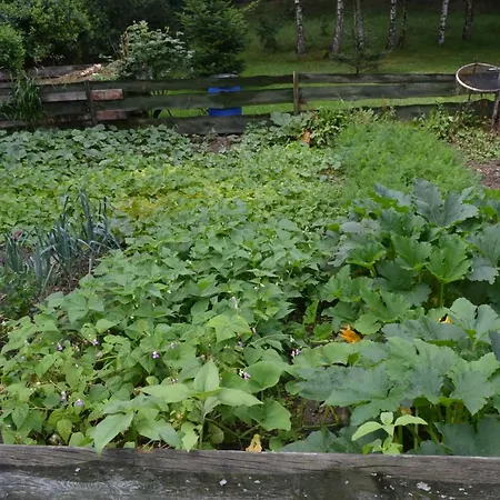 Feriegård Teosiowo *