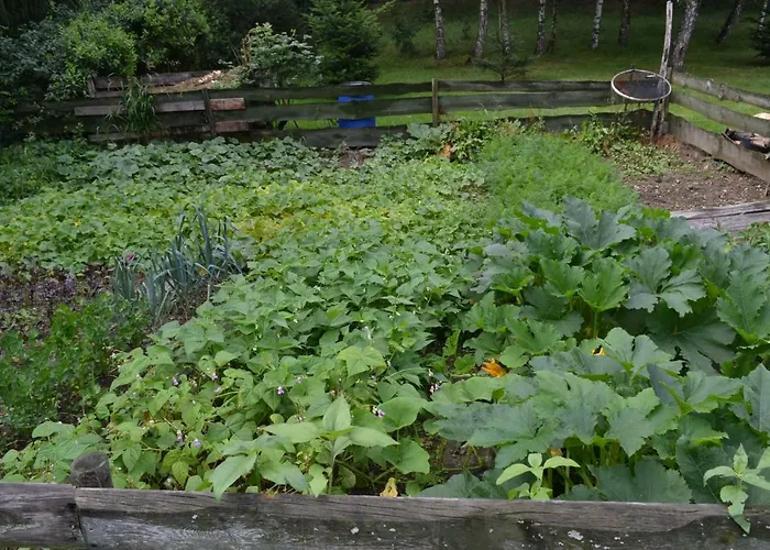 Farm stay Teosiowo *